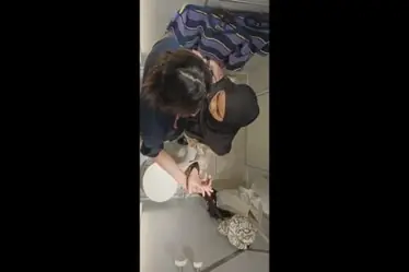 Skandal Cewek Sange Menangis Nikmat Ditusuk